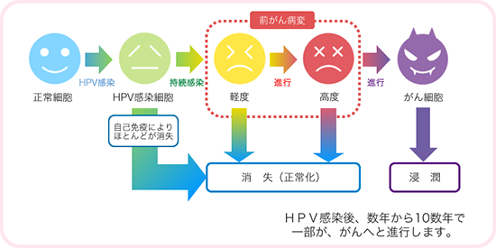 ヒトパピローマウイルスの感染から